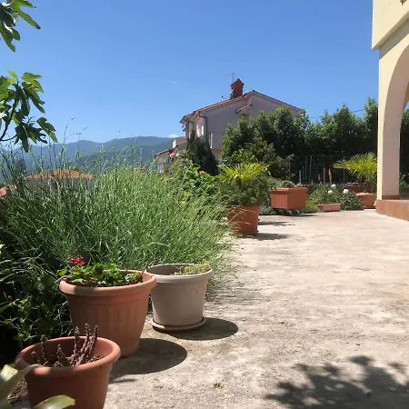 Apartment Garden